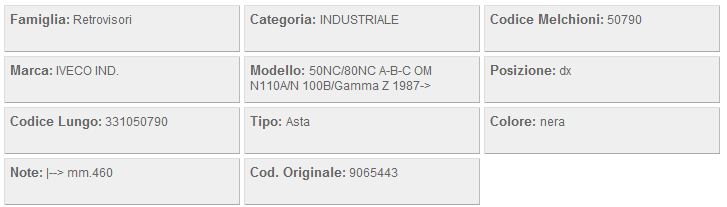 ASTA SPECCHIO IVECO